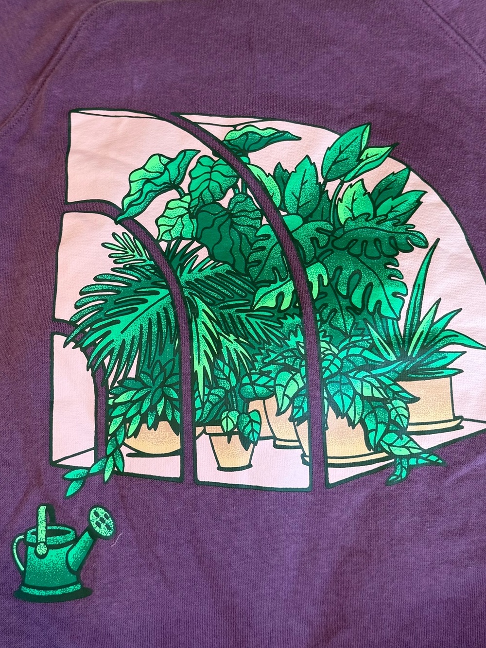 The North Face Crown Shyness Cotton Greenhouse Plant Hoodie in Midnight Mauve - Picture 4 of 6